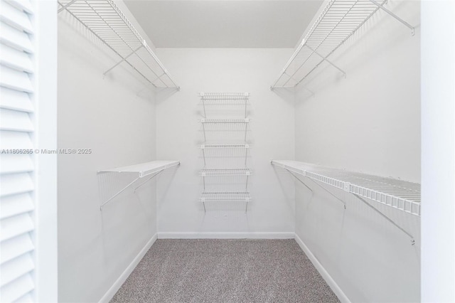 9919 SW 1st Ct, Coral Springs, FL 33071 - spacious closet featuring light carpet