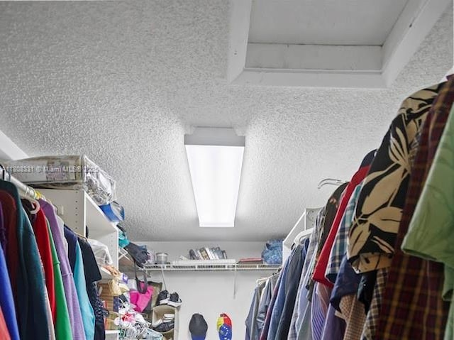 15824 Cotswold Ct, Davie, FL 33331 - view of spacious closet
