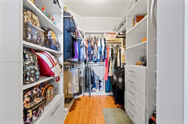 3427 W 89th Ter, Hialeah, FL 33018 - walk in closet with wood finished floors