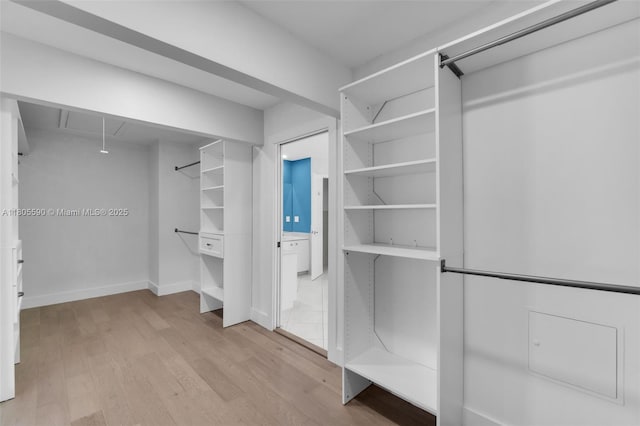 9192 Picot Ct, Boynton Beach, FL 33472 - walk in closet featuring attic access and light wood-type flooring