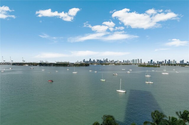 1330 W Ave Unit 902, Miami Beach, FL 33139 - water view with skyline