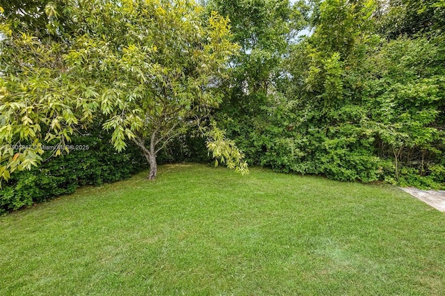 6871 SW 18th St, North Lauderdale, FL 33068 - view of grassy yard