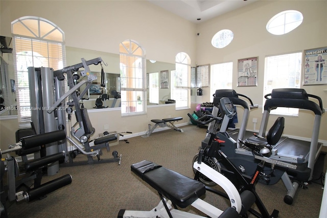 3045 SW 129th Way Unit 152, Miramar, FL 33027 - workout area featuring baseboards, carpet floors, and a towering ceiling
