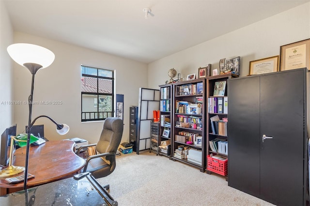 9618 Waterview Way, Parkland, FL 33076 - view of carpeted office