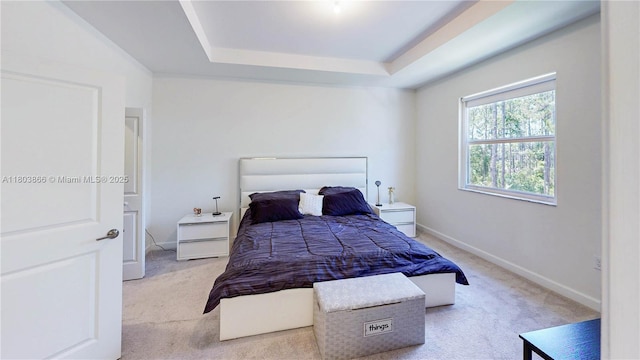 16233 SW 290th Ter, Homestead, FL 33033 - carpeted bedroom with a tray ceiling and baseboards