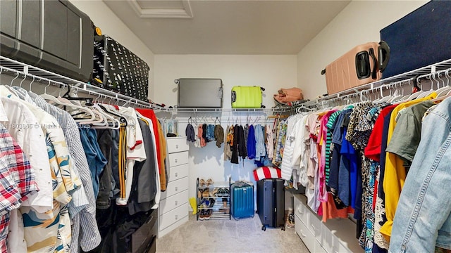 16233 SW 290th Ter, Homestead, FL 33033 - walk in closet with attic access and carpet floors