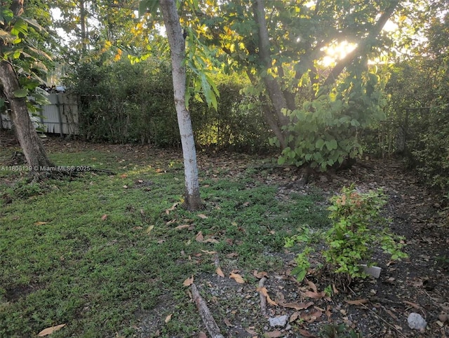 7911 SW 132nd Ave, Miami, FL 33183 - view of yard