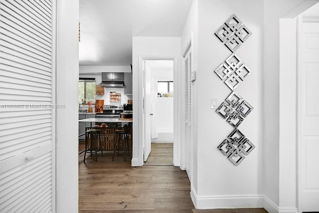 12400 NE 11th Ct, North Miami, FL 33161 - corridor with wood finished floors and baseboards