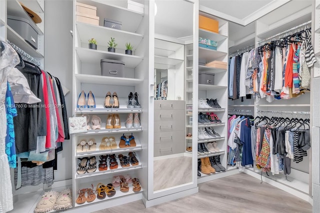 8575 Baypoint Cir, Parkland, FL 33076 - walk in closet featuring wood finished floors