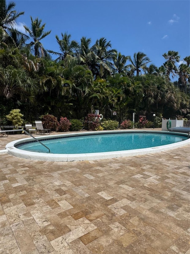 700 NE 14th Ave Unit 204, Hallandale Beach, FL 33009 - community pool with a patio area