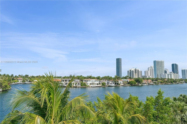 20185 E Country Club Dr Unit 505, Aventura, FL 33180 - water view featuring skyline