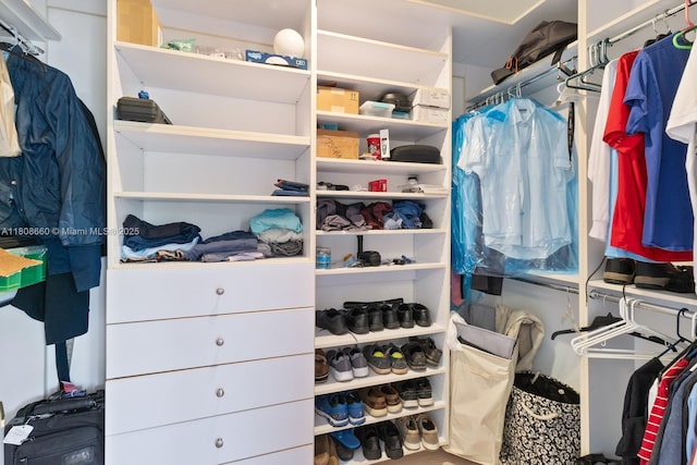 2922 Catalina St Unit 2922, Miami, FL 33133 - view of spacious closet