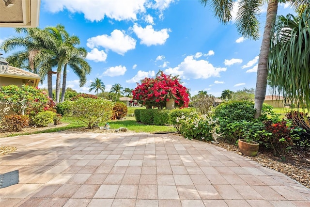 11034 Via, San Remo, Boynton Beach, FL 33437 - view of patio