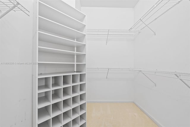 11034 Via, San Remo, Boynton Beach, FL 33437 - view of walk in closet