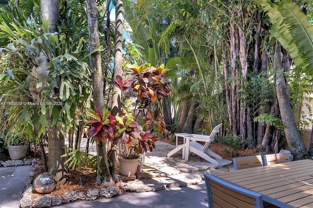 136 NE 101st St, Miami Shores, FL 33138 - photo 47