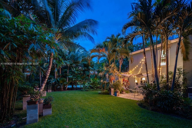 3245 Riviera Dr, Coral Gables, FL 33134 - view of green lawn with a patio area