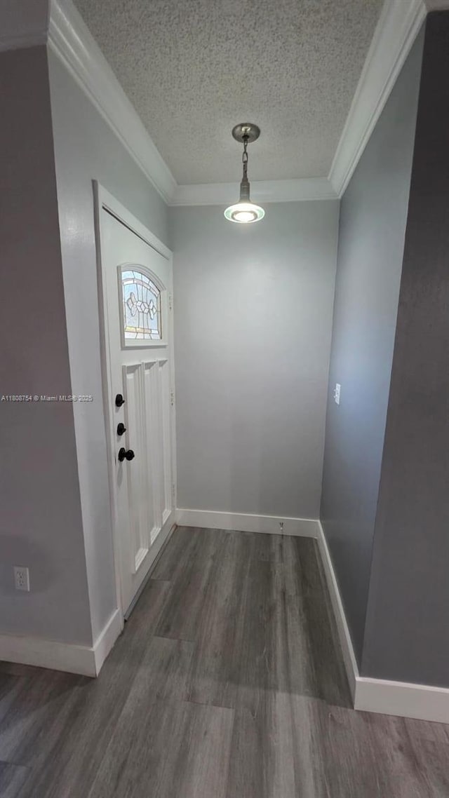 11890 SW 18th Ter Unit 112, Miami, FL 33175 - foyer with dark wood finished floors, ornamental molding, a textured ceiling, and baseboards