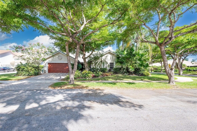 2215 SW 14th Pl, Boca Raton, FL 33486 - view of property hidden behind natural elements featuring driveway and a garage