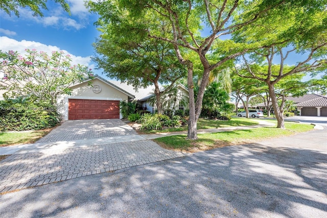 2215 SW 14th Pl, Boca Raton, FL 33486 - view of property hidden behind natural elements featuring an attached garage and decorative driveway