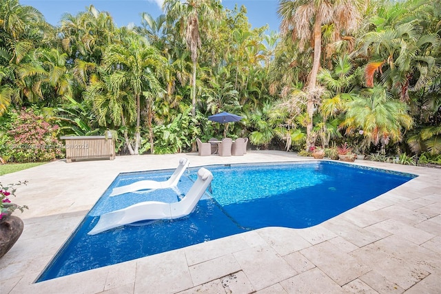 2215 SW 14th Pl, Boca Raton, FL 33486 - swimming pool with a patio area