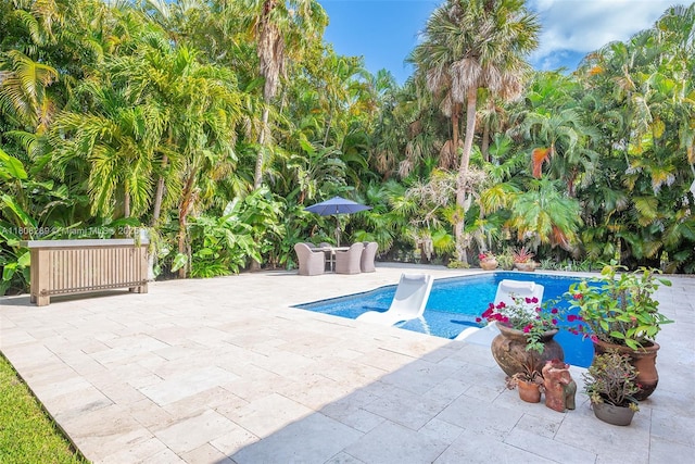 2215 SW 14th Pl, Boca Raton, FL 33486 - swimming pool with a patio