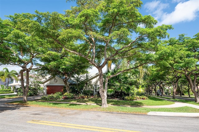 2215 SW 14th Pl, Boca Raton, FL 33486 - view of property hidden behind natural elements