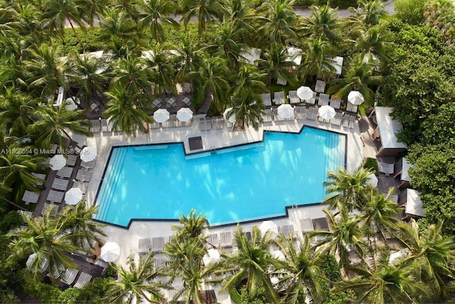 2201 Collins Ave Unit 1511, Miami Beach, FL 33139 - view of community pool