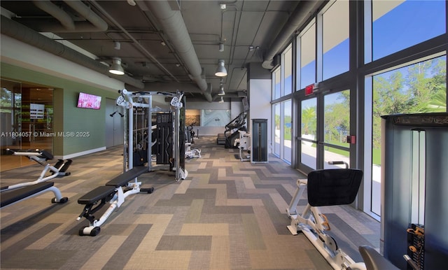 16385 Biscayne Blvd Unit 3217, North Miami Beach, FL 33160 - workout area with a towering ceiling, carpet flooring, and baseboards