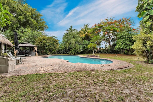 2442 Fillmore St, Hollywood, FL 33020 - outdoor pool with a patio area, a gazebo, and a yard