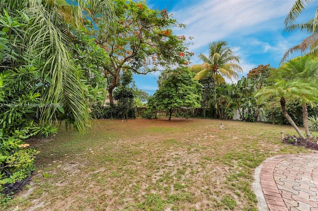 2442 Fillmore St, Hollywood, FL 33020 - view of yard