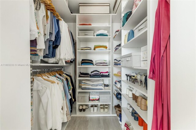121 NE 34th St Unit 2412, Miami, FL 33137 - spacious closet featuring wood finished floors