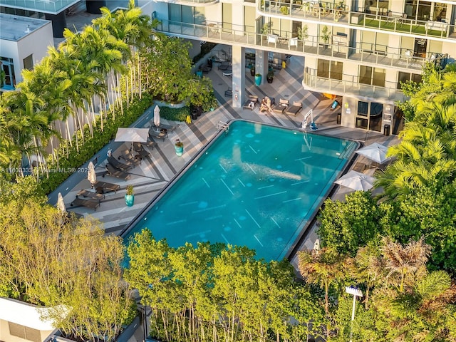 121 NE 34th St Unit 2412, Miami, FL 33137 - view of community pool