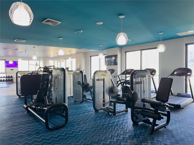 121 NE 34th St Unit 2412, Miami, FL 33137 - gym featuring carpet and plenty of natural light