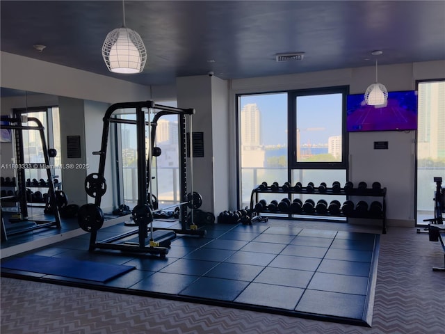 121 NE 34th St Unit 2412, Miami, FL 33137 - gym with plenty of natural light