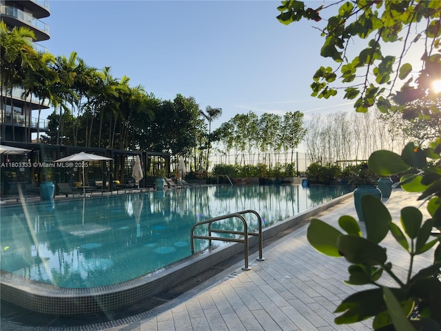 121 NE 34th St Unit 2412, Miami, FL 33137 - view of community pool