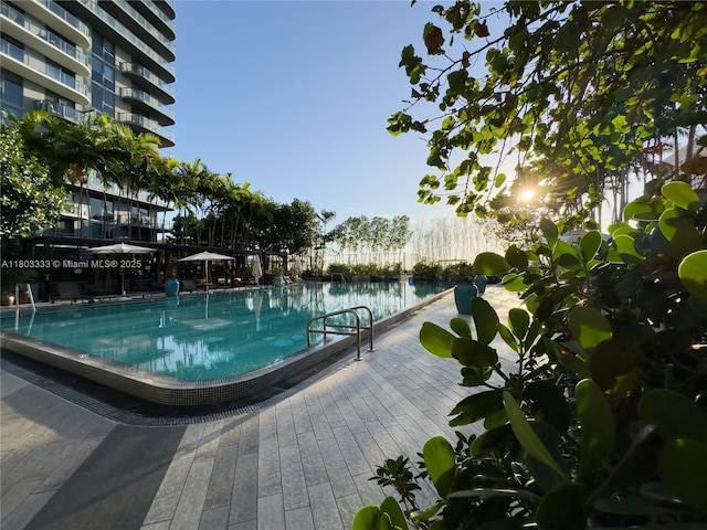 121 NE 34th St Unit 2412, Miami, FL 33137 - view of community pool