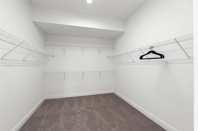 16450 Sea Turtle Pl, Loxahatchee, FL 33470 - walk in closet with dark carpet