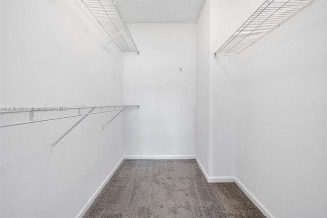 17150 N Bay Rd Unit 2619, Sunny Isles Beach, FL 33160 - photo 16