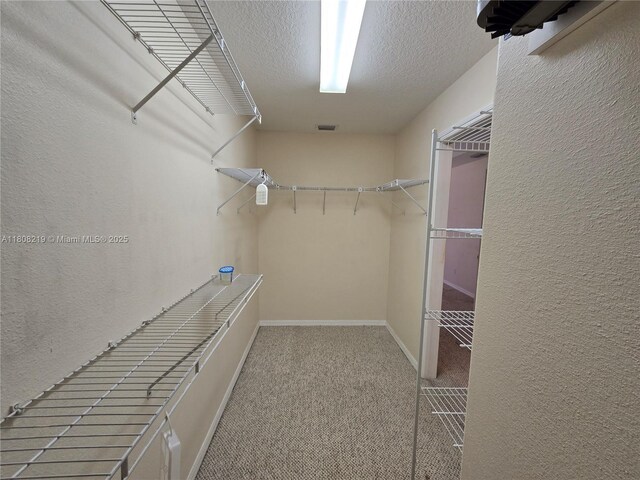 7206 N Glenridge Cir, Citrus Springs, FL 34434 - photo 36