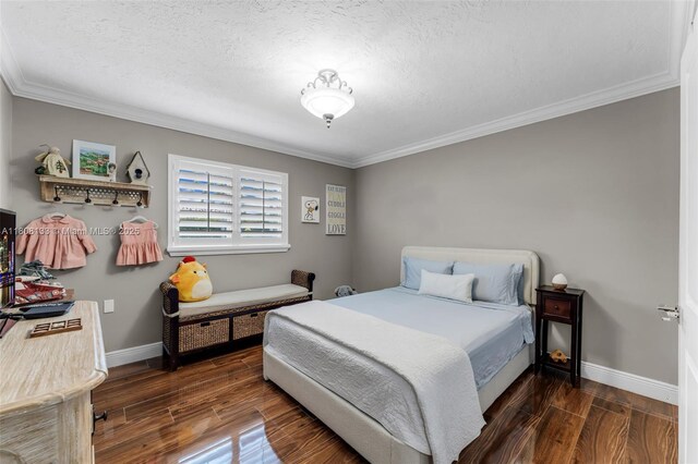 13501 SW 107th Ave, Miami, FL 33176 - photo 20