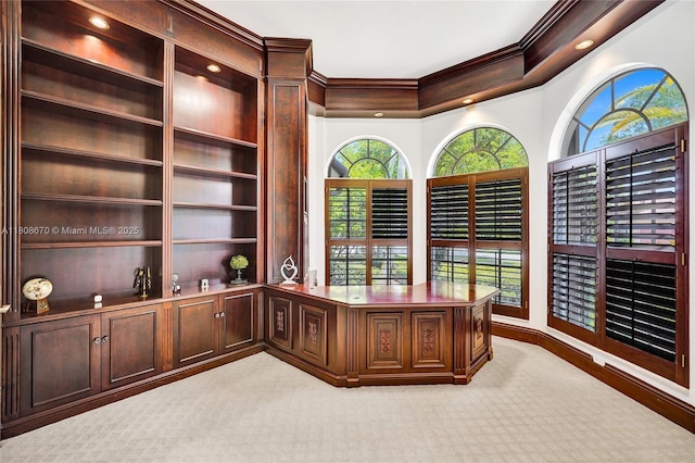 169 Dockside Cir, Weston, FL 33327 - unfurnished office featuring crown molding, light colored carpet, recessed lighting, and baseboards