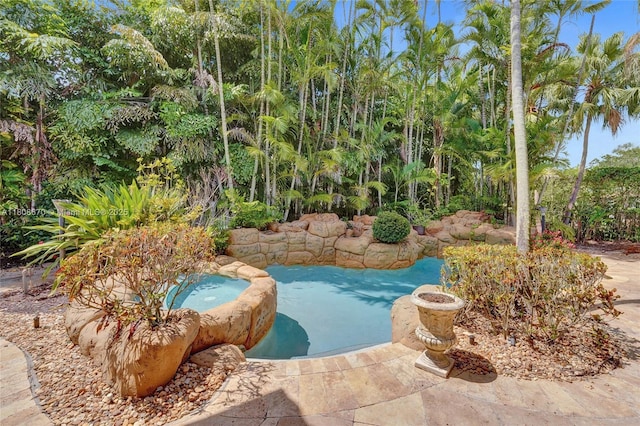 169 Dockside Cir, Weston, FL 33327 - view of swimming pool with an in-ground hot tub