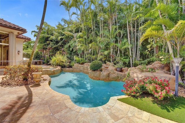 169 Dockside Cir, Weston, FL 33327 - swimming pool with a patio