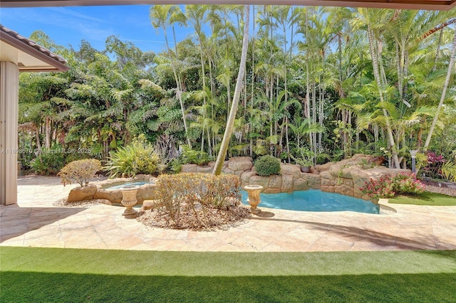 169 Dockside Cir, Weston, FL 33327 - view of pool featuring a patio
