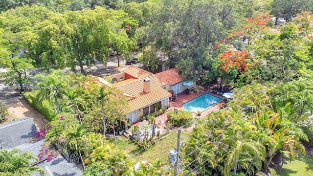 421 S Zamora Ave, Coral Gables, FL 33134 - view of subject property featuring a pool
