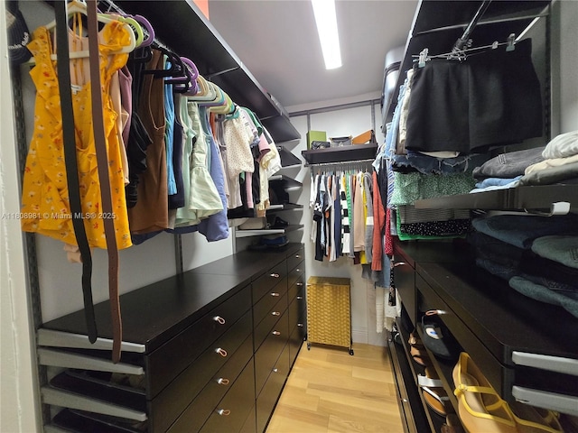 14870 SW 152nd Ct, Miami, FL 33196 - walk in closet featuring light wood finished floors