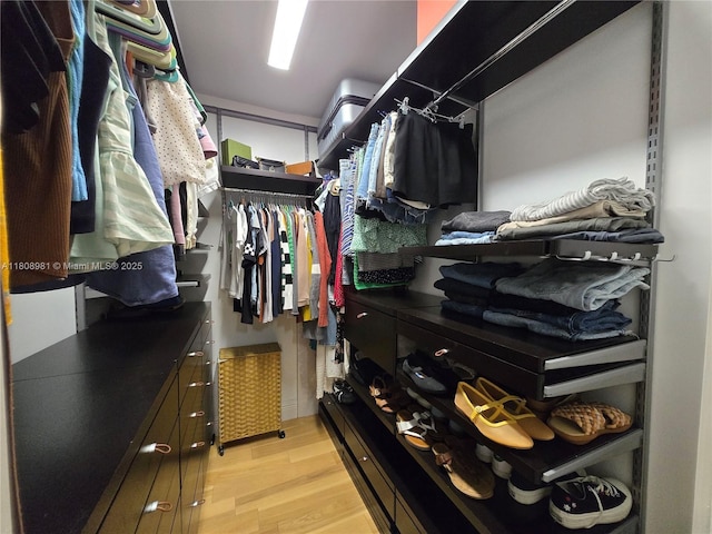 14870 SW 152nd Ct, Miami, FL 33196 - spacious closet with light wood finished floors