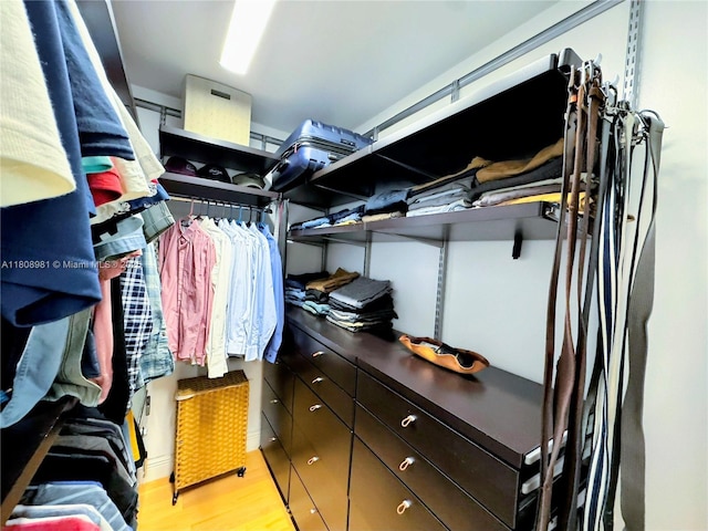 14870 SW 152nd Ct, Miami, FL 33196 - walk in closet with light wood-style floors