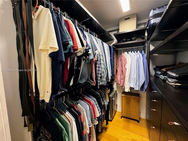 14870 SW 152nd Ct, Miami, FL 33196 - walk in closet with light wood-style floors