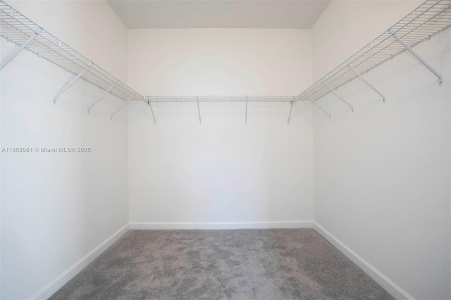 13416 SW 287th St Unit A, Homestead, FL 33033 - walk in closet with carpet flooring
